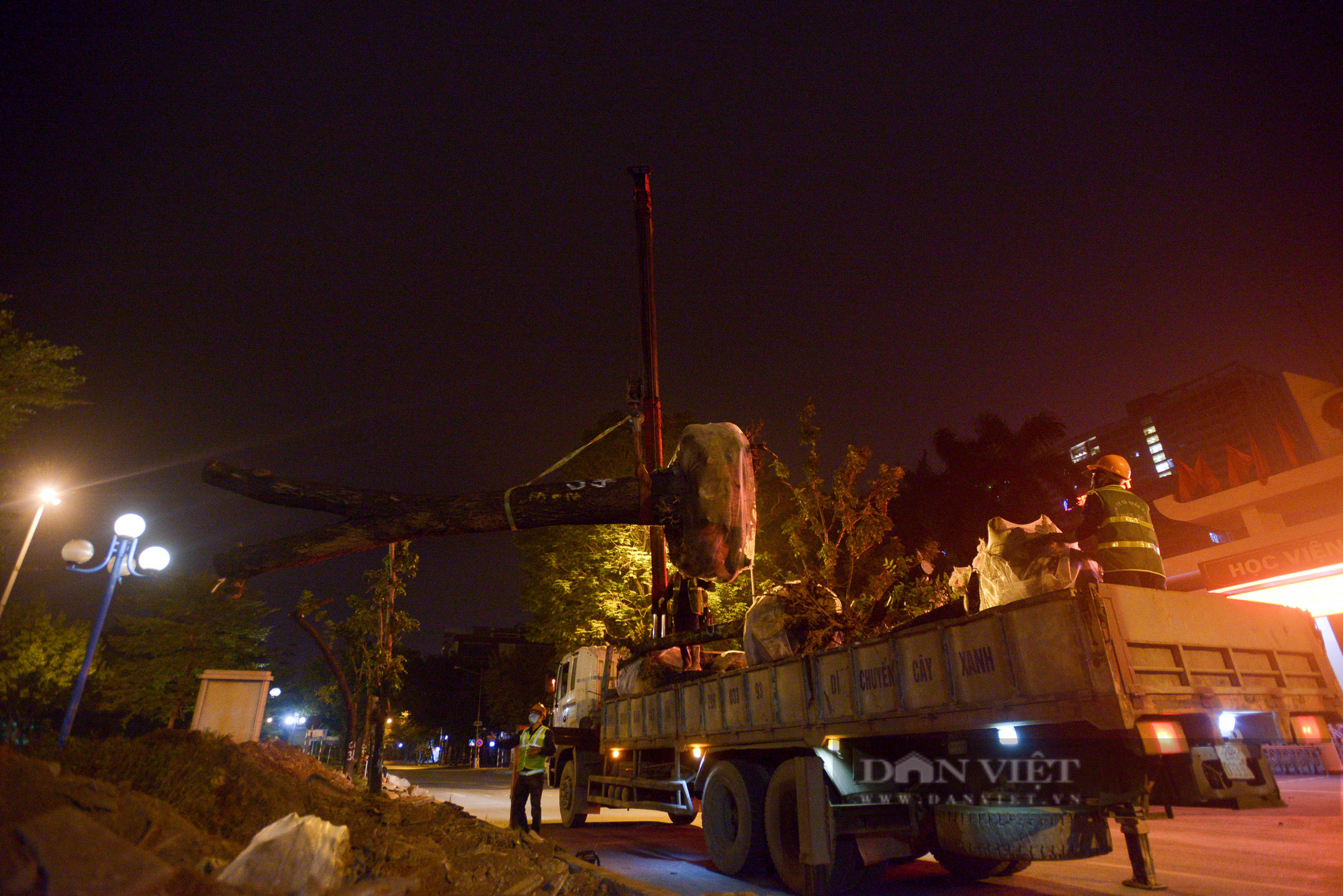 Công nhân xuyên đêm đốn hạ, di dời 400 cây xanh, mở rộng đường Hoàng Quốc Việt ở Hà Nội - Ảnh 9.
