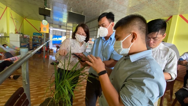 Phần mềm tìm diệt sâu, bệnh sớm trên lúa cài trên điện thoại thông minh có gì đặc biệt? - Ảnh 1.