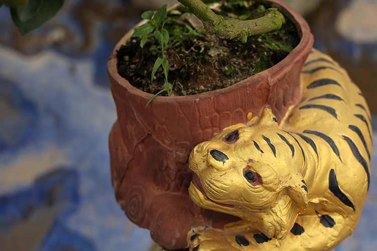 Hổ vàng ôm quất bonsai hút khách chơi Tết sớm - Ảnh 2.