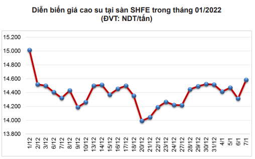 Thị trường này sẽ làm cho giá và xuất khẩu cao su của Việt Nam tiếp tục bứt phá mạnh tới đây - Ảnh 2.