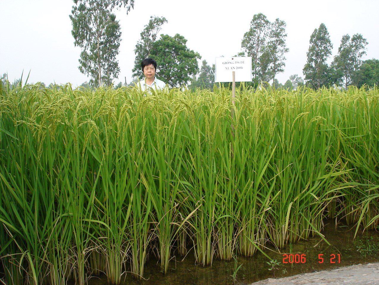 GS. TS. Hoàng Tuyết Minh trọn đời vì ngành nông nghiệp Việt Nam - Ảnh 2.