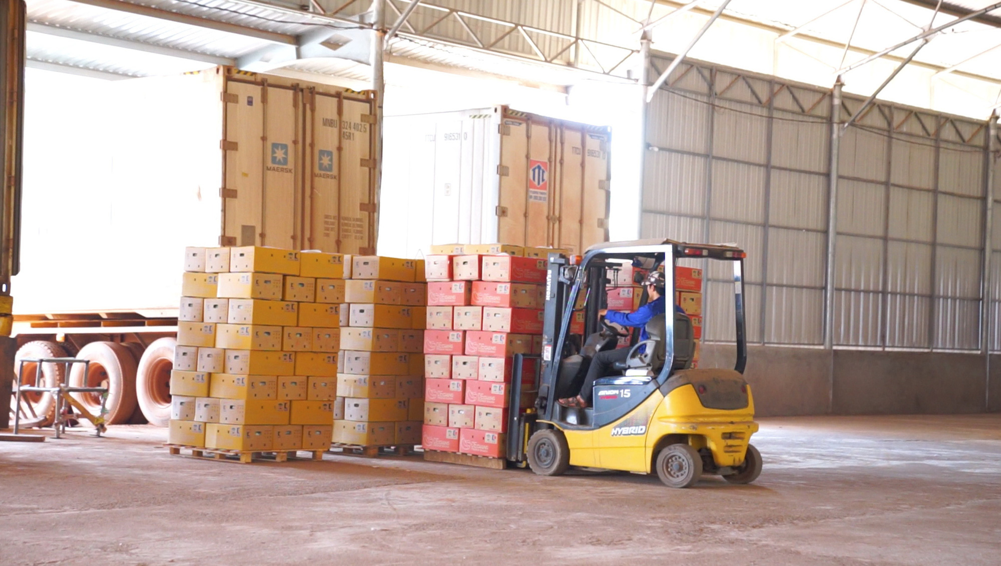 THILOGI phát triển dịch vụ logistics xuất khẩu nông sản với sản lượng lớn - Ảnh 5.