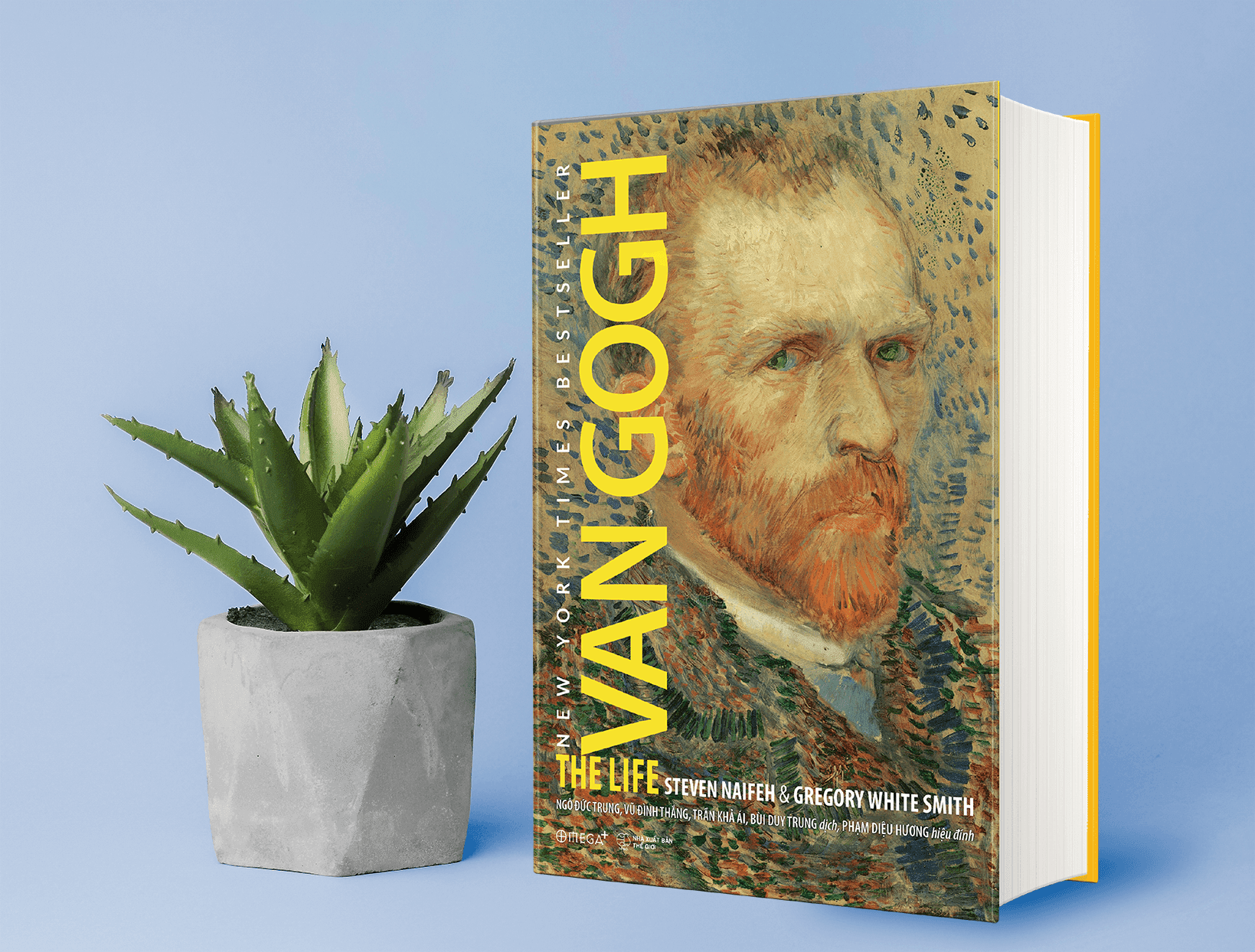 Van Gogh: The Life - Một biên niên sử về số phận và nỗi đau - Ảnh 1.