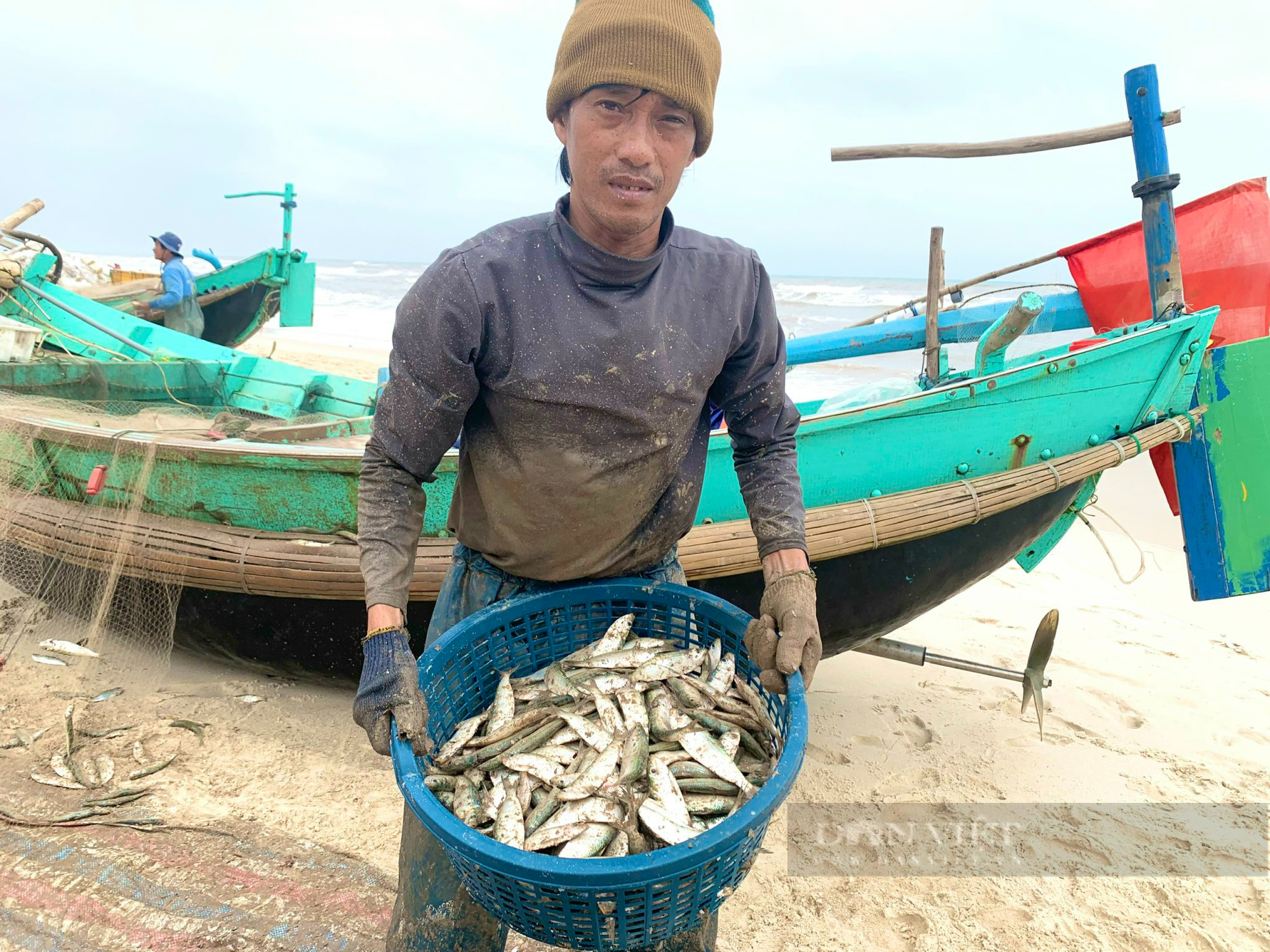 Ngư dân Quảng Bình trúng đậm mùa cá trích, kiếm tiền triệu mỗi ngày - Ảnh 4.