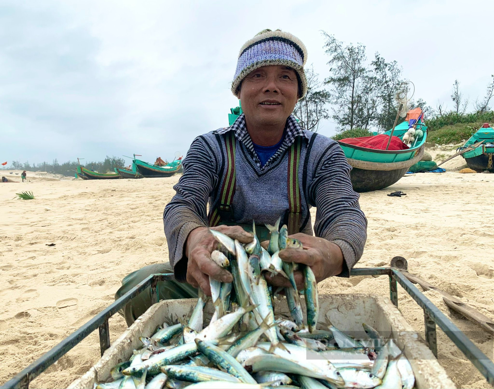 Ngư dân Quảng Bình trúng đậm mùa cá trích, kiếm tiền triệu mỗi ngày - Ảnh 5.