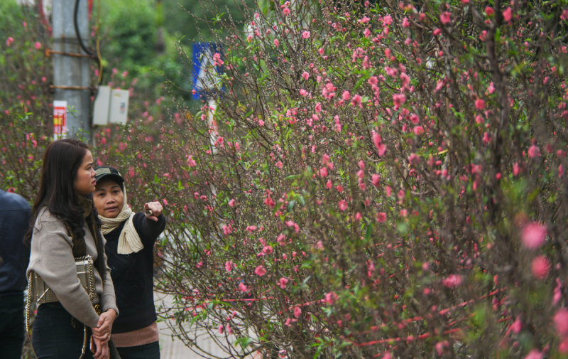 Du lịch Hà Nội dịp Tết Âm không thể bỏ qua 6 chợ hoa Tết nổi tiếng - Ảnh 5.