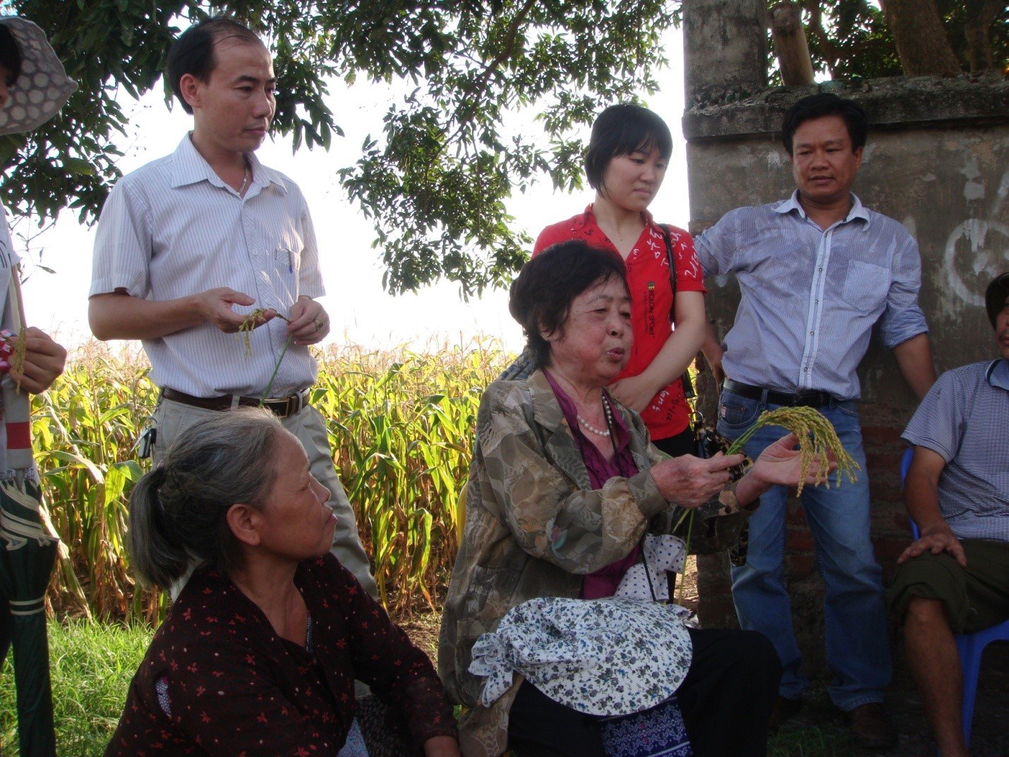 GS. TS. Hoàng Tuyết Minh trọn đời vì ngành nông nghiệp Việt Nam - Ảnh 3.