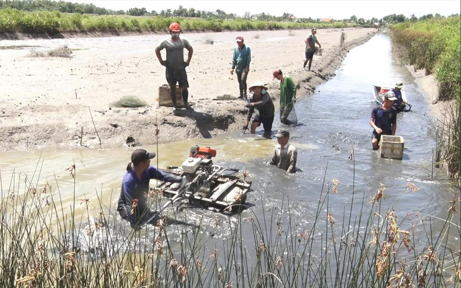 Nuôi tôm càng xanh trong ruộng lúa kiểu gì mà nông dân Kiên Giang chả phải cho ăn vẫn trúng đậm?