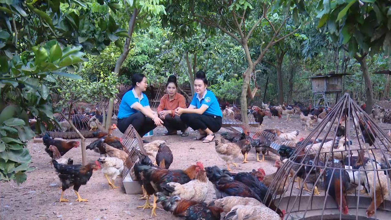 Người phụ nữ Thái làm giàu bằng cách nuôi gà của riêng mình - Ảnh 3.