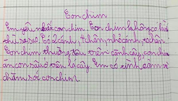 Mẹ bật mí về con trai học lớp 3 có bài văn tả &quot;con chim&quot; khiến mọi người... hoảng hốt - Ảnh 1.