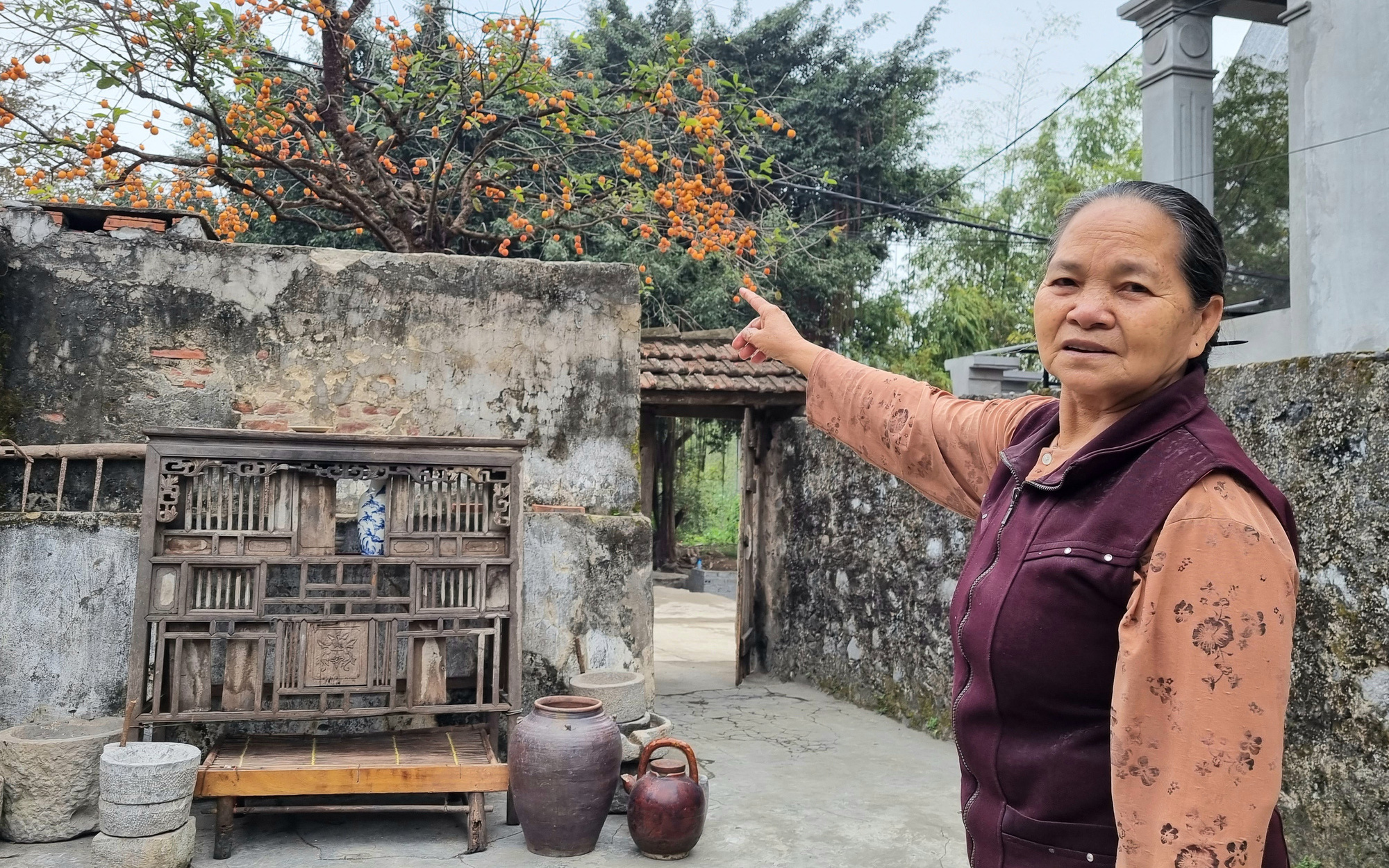 Cây cảnh đang hot nhất tỉnh Ninh Bình thực ra là một cây hồng cổ tuổi thọ 200 năm khiến giới trẻ &quot;sốt rần rần&quot;
