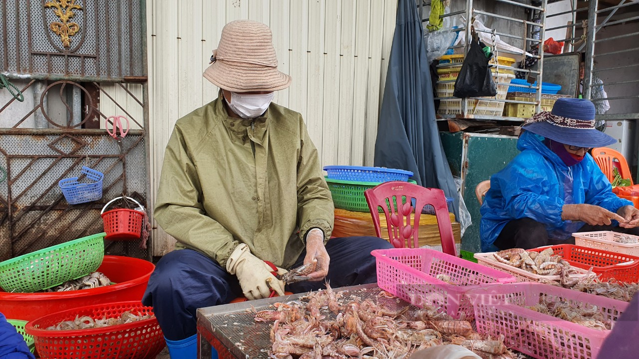 Nghề bóc vỏ tôm thuê của phụ nữ nơi cửa biển Thanh Hóa - Ảnh 3.