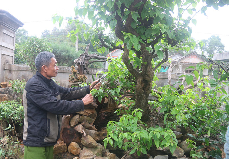 Vợ chồng ông nông dân Quảng Trị hơn 30 năm trồng hoa giấy chỉ để người thiên hạ &quot;tìm về quá khứ&quot; - Ảnh 3.