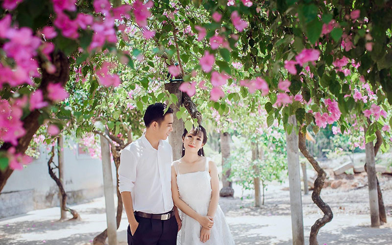 Vườn trồng hoa giấy đẹp như cổ tích của vợ chồng ông nông dân Quảng Trị chỉ để thiên hạ "tìm về quá khứ"