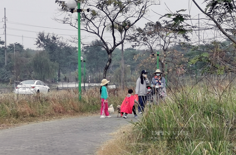 Công viên hơn 70 tỷ đồng đối diện trung tâm hành chính quận Long Biên như... đồng cỏ cháy - Ảnh 15.