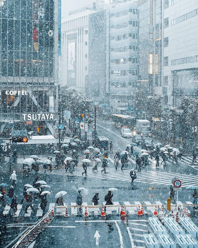 Tokyo đẹp huyền ảo khi tuyết rơi dày những ngày đầu năm - Ảnh 2.