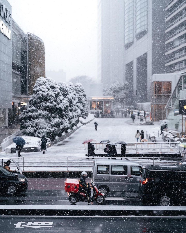 Tokyo đẹp huyền ảo khi tuyết rơi dày những ngày đầu năm - Ảnh 7.