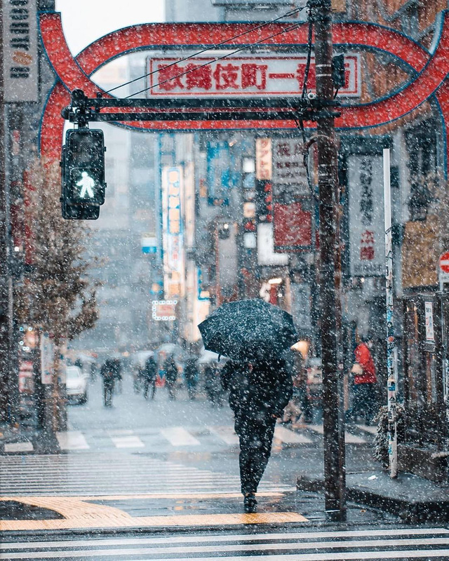 Tokyo đẹp huyền ảo khi tuyết rơi dày những ngày đầu năm - Ảnh 8.
