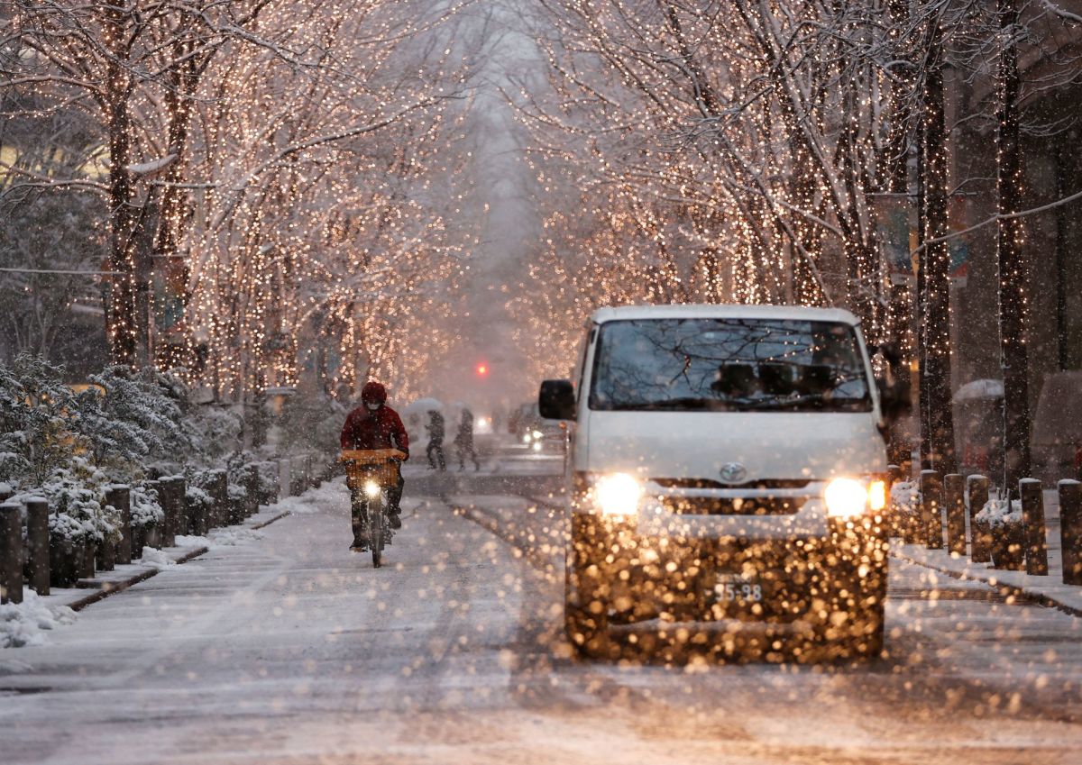 Tokyo đẹp huyền ảo khi tuyết rơi dày những ngày đầu năm - Ảnh 10.
