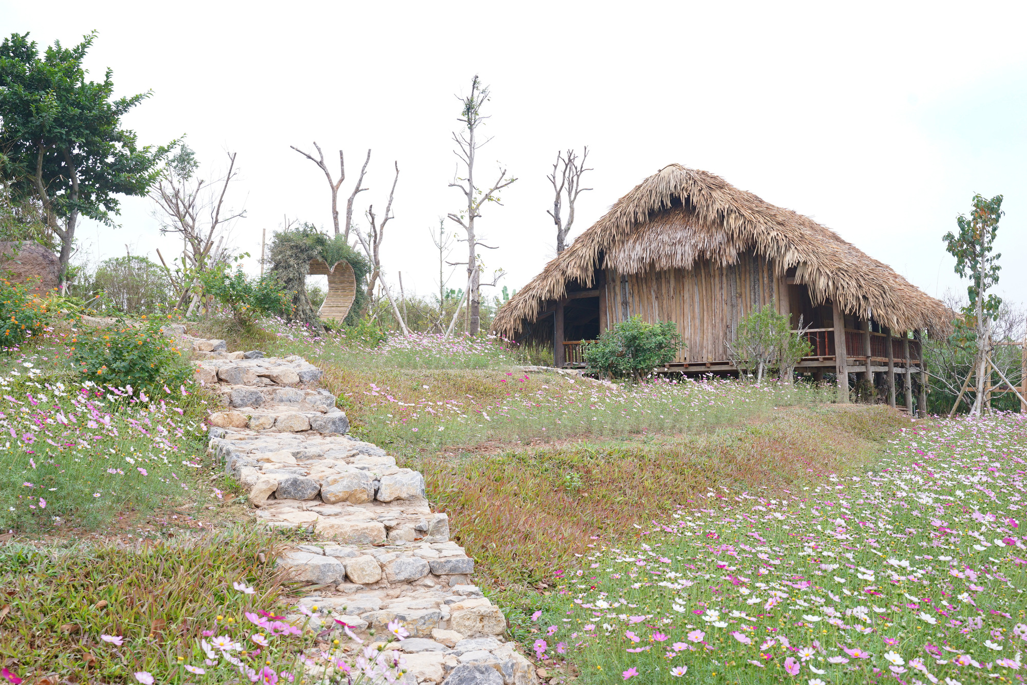 Ngẩn ngơ với vẻ đẹp của làng quê Việt bên sông Hồng, nơi 'tìm lại thời gian đã mất' - Ảnh 3.