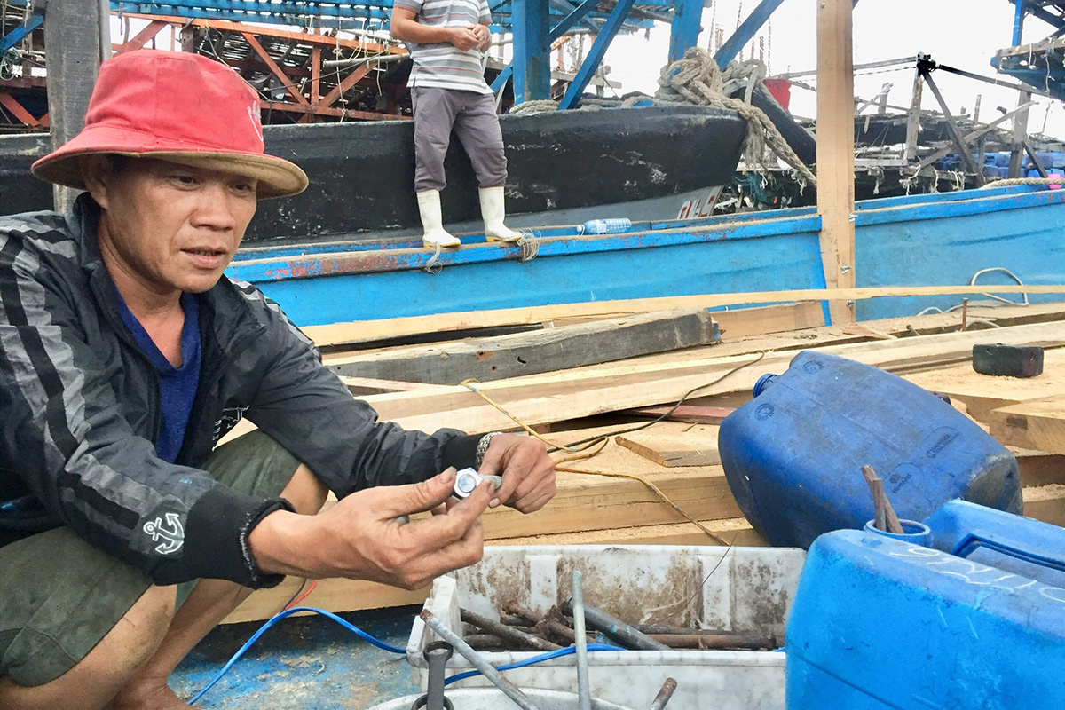 Quảng Nam: Cả làng dùng tàu ra biển chỉ bắt một loài cá đem phơi khô bán ra nước ngoài - Ảnh 1.