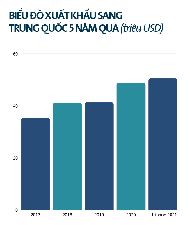 Trị &quot;bệnh&quot; ùn ứ nông sản tại biên giới Trung Quốc: Bài 1: Xuất khẩu nông sản kiểu hên, xui - Ảnh 4.