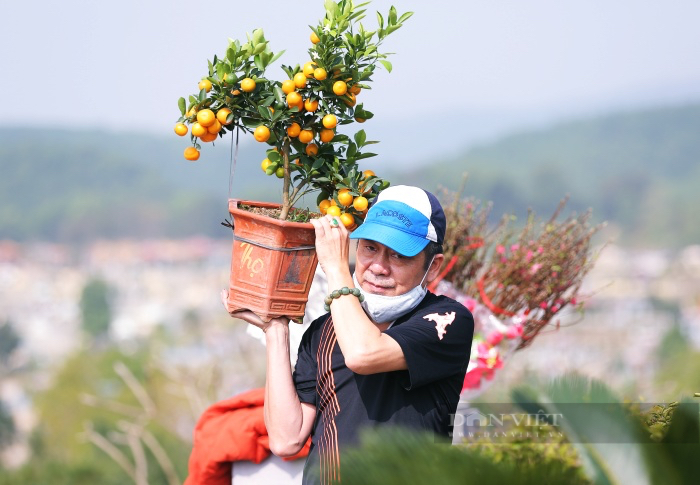 Sợ &quot;tắc đường&quot; vì dịch Covid-19, người Hà Nội mang đào quất đi tảo mộ, mời gia tiên về ăn Tết sớm - Ảnh 1.