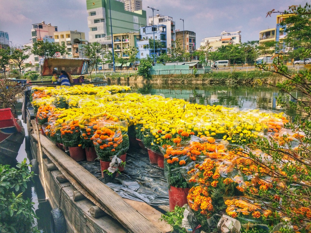 Chiêm ngưỡng hình ảnh chợ hoa ngày tết sài gòn  HOA LAN PHÚ QUÝ  Chậu Hoa  Lan Hồ Điệp Đẹp