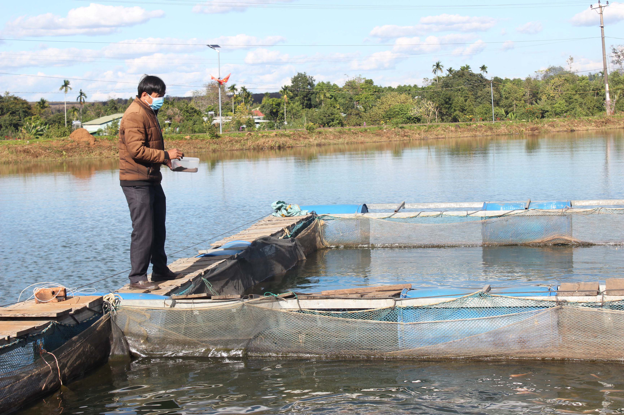 Nuôi cá đặc sản trên hồ thủy điện Ia Ly, mỗi năm nông dân này của Gia Lai bắt bán 10 tấn - Ảnh 1.
