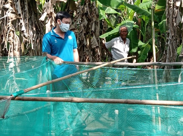 Nuôi ếch kết hợp nuôi cá, ít tốn thức ăn, nhẹ công chăm, nông dân Hậu Giang khấm khá hẳn lên - Ảnh 1.