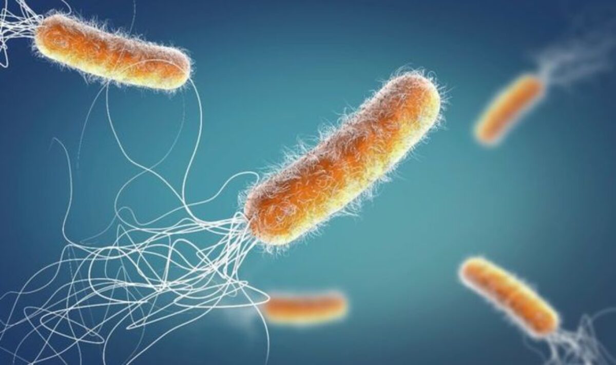 Nghiên cứu mới về vi khuẩn kháng kháng sinh có thể giết chết 10 triệu người - Ảnh 1.