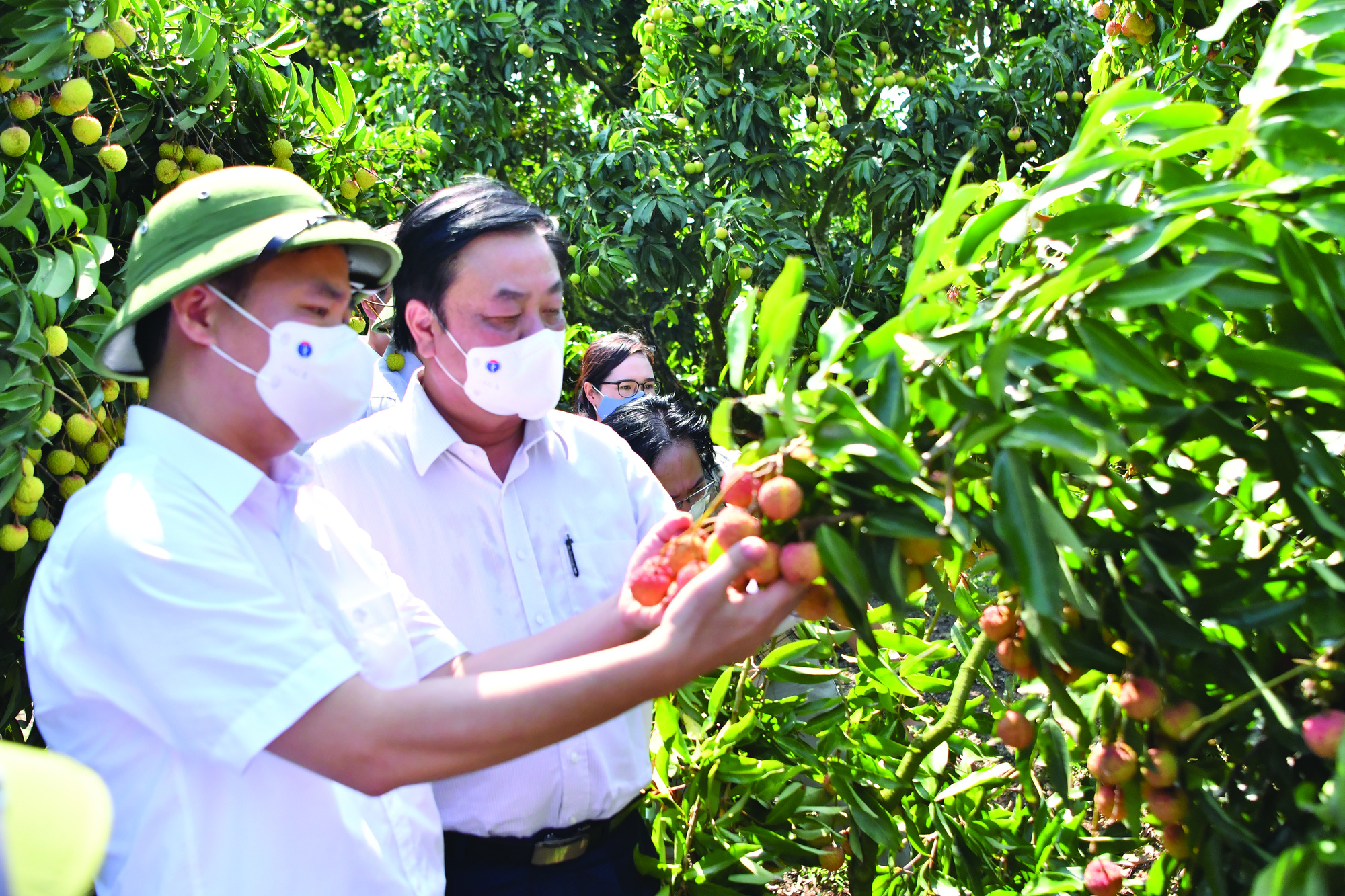 Bộ trưởng Lê Minh Hoan: Xây dựng vùng nguyên liệu đạt chuẩn, xuất khẩu nông sản không dừng ở 50 tỷ USD - Ảnh 2.