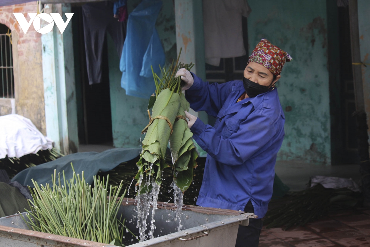 Làng Tràng Cát vào vụ, người dân tất bật vì bán chạy thứ lá &quot;thần thánh&quot; không thể thiếu mỗi dịp Tết - Ảnh 10.