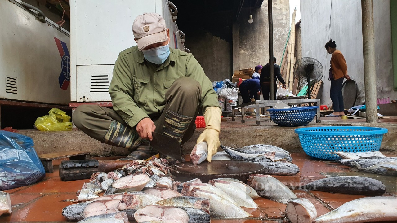 Thanh Hóa: Thơm ngon cá nướng than hoa ở vùng biển Hậu Lộc, ai ăn một lần đều nhớ - Ảnh 6.