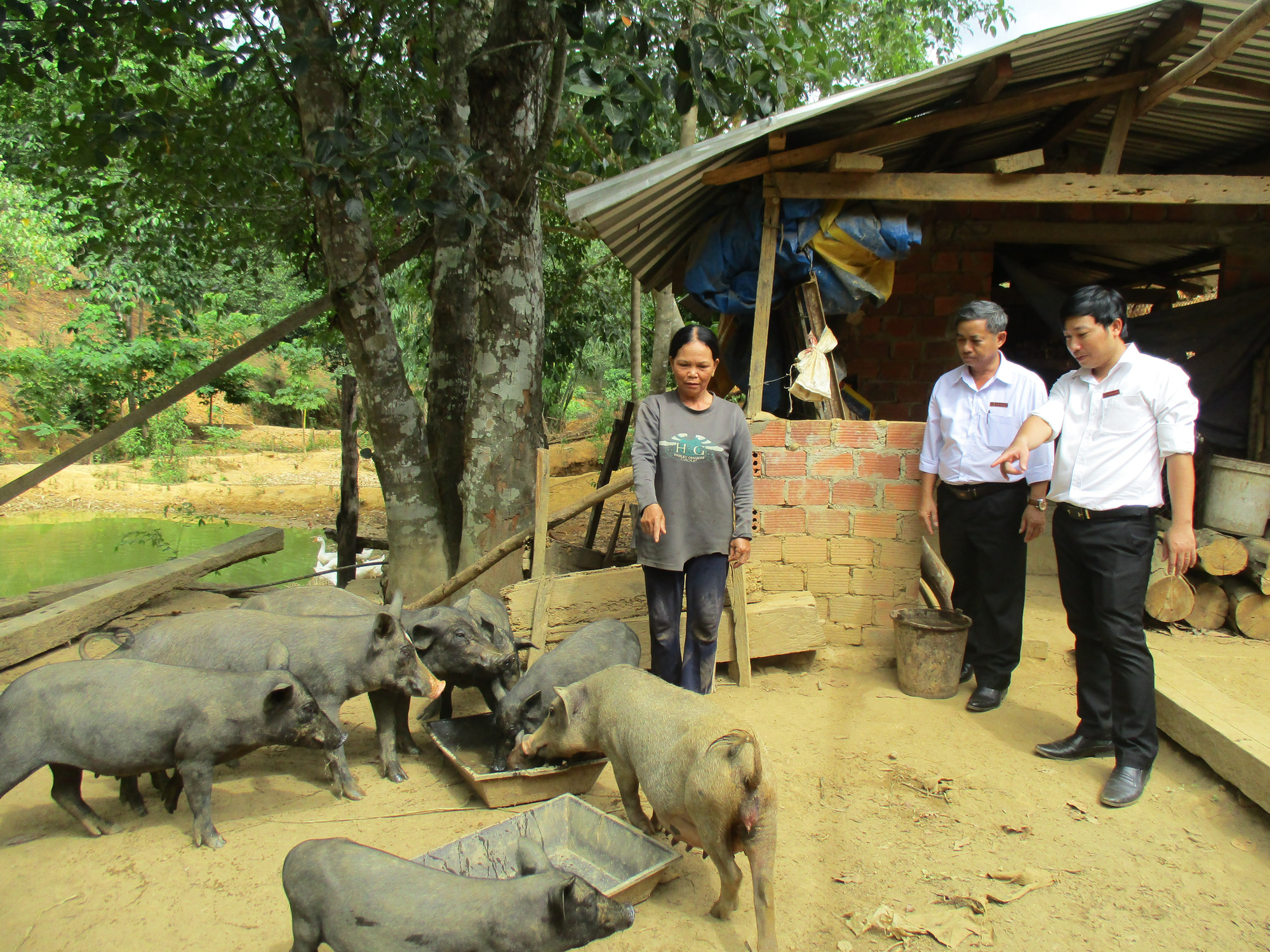 Agribank giúp nông dân miền Trung hiện thực hóa ước mơ làm giàu - Ảnh 7.