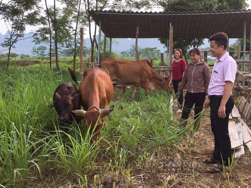 Các chương trình, dự án cụ thể được kỳ vọng giúp công tác giảm nghèo giai đoạn tới đạt nhiều thành tựu, khắc phục hạn chế giai đoạn trước.