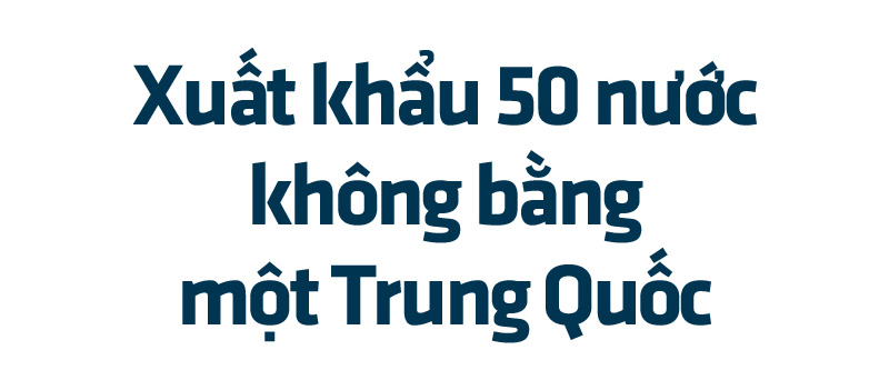 Bài 4: Đừng trông vào một thị trường, đẩy mạnh chế biến sâu   - Ảnh 1.