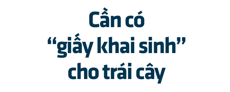 Bài 4: Đừng trông vào một thị trường, đẩy mạnh chế biến sâu   - Ảnh 3.