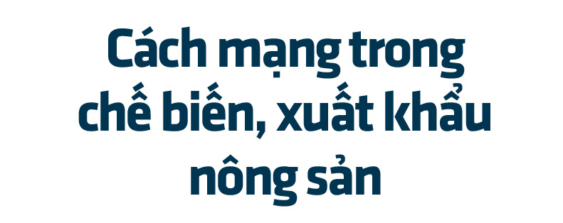 Bài 4: Đừng trông vào một thị trường, đẩy mạnh chế biến sâu   - Ảnh 6.