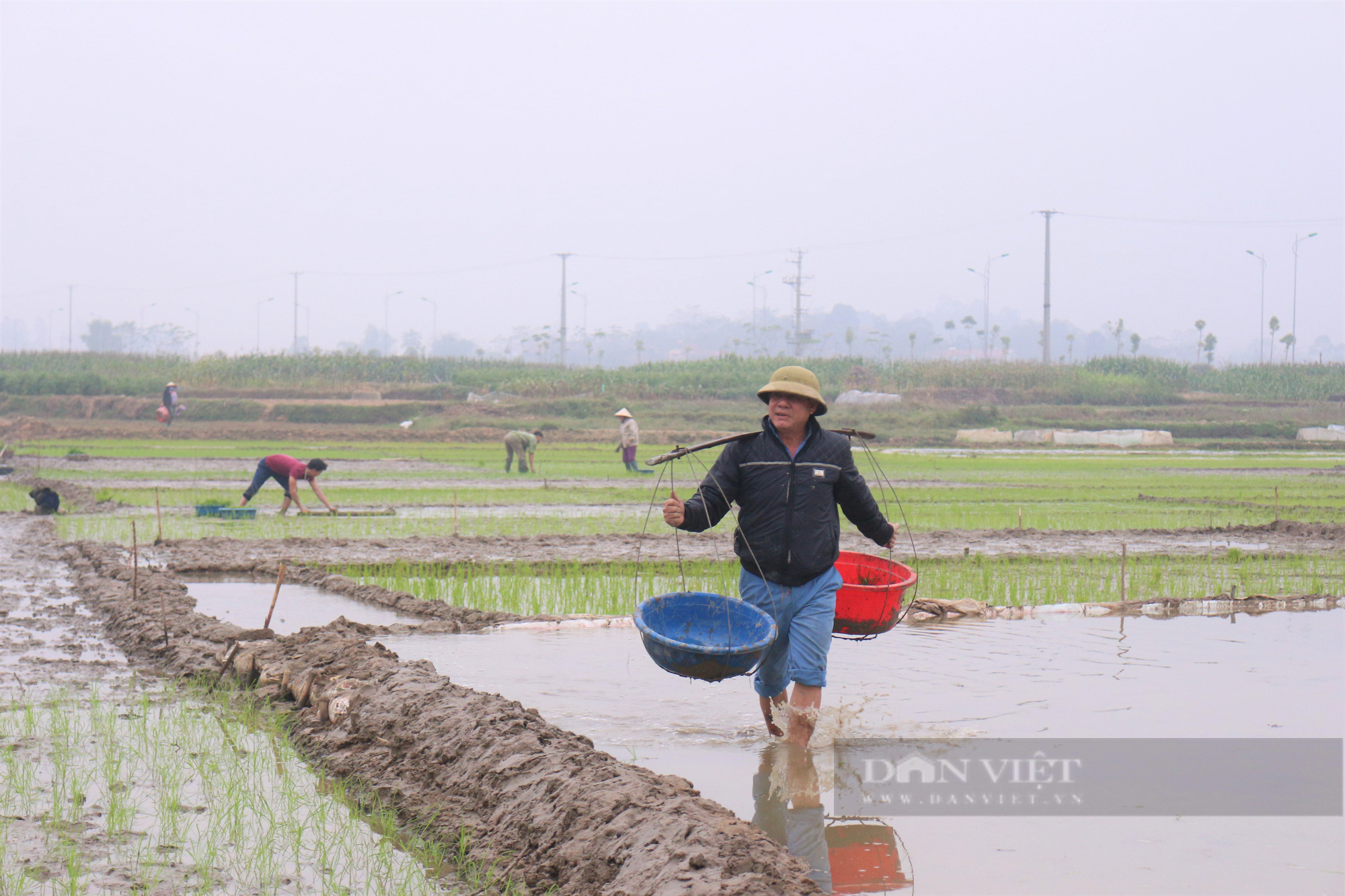 Nét đẹp lao động trên những đôi quang gánh