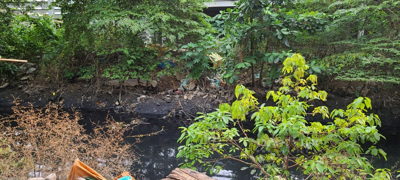 Cận Tết Nguyên đán 2022 nhiều kênh rạch ở TP.HCM vẫn ngập ứ rác thải, nước đen ngòm - Ảnh 8.