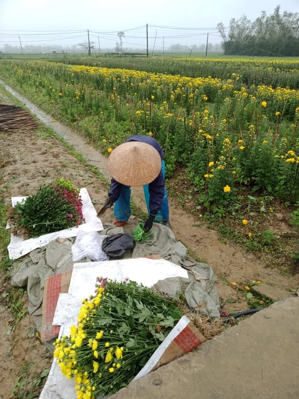 Kể chuyện làng: &quot;Mẹ ơi, chúng con không cần mua áo mới&quot; - Ảnh 1.