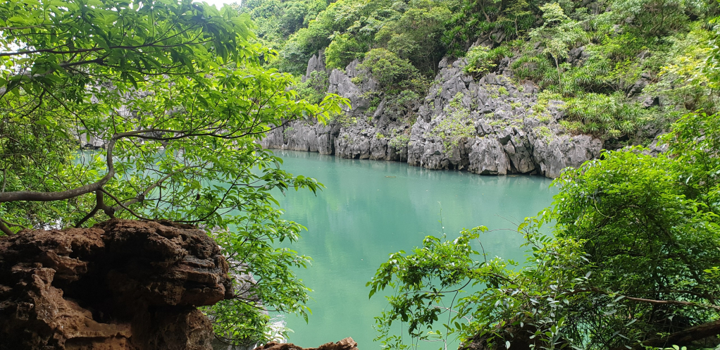 Áng Tiên, bảo tàng thiên nhiên trên Vịnh Hạ Long - Ảnh 2.