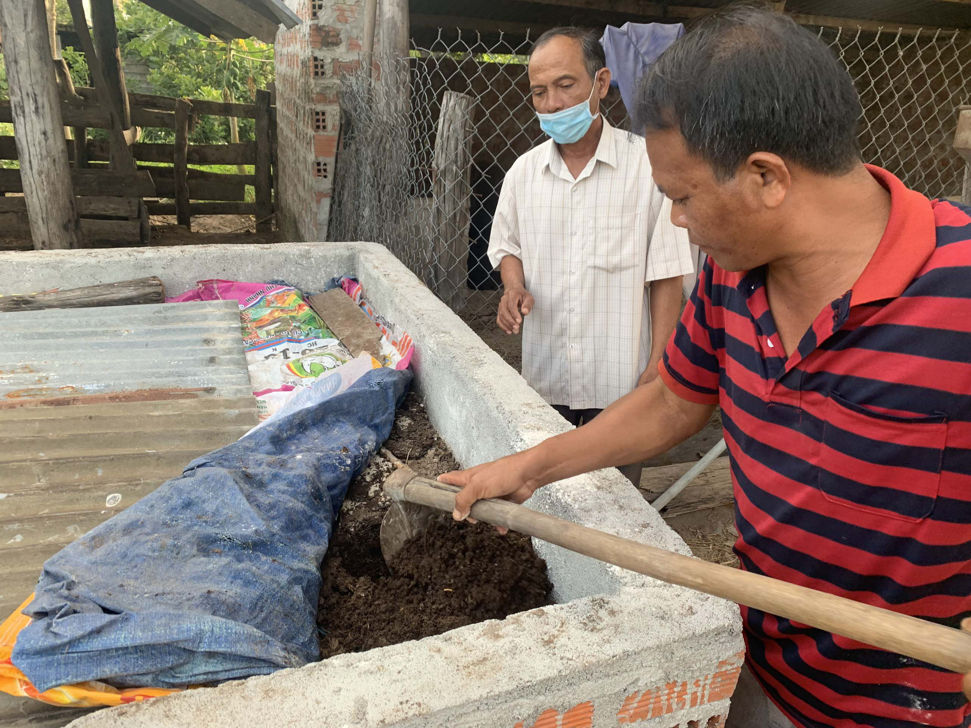 Giá phân bón chỉ tăng không giảm, nông dân Gia Lai lập tức tự làm phân giá rẻ bón cho cây vẫn tốt ầm ầm - Ảnh 1.