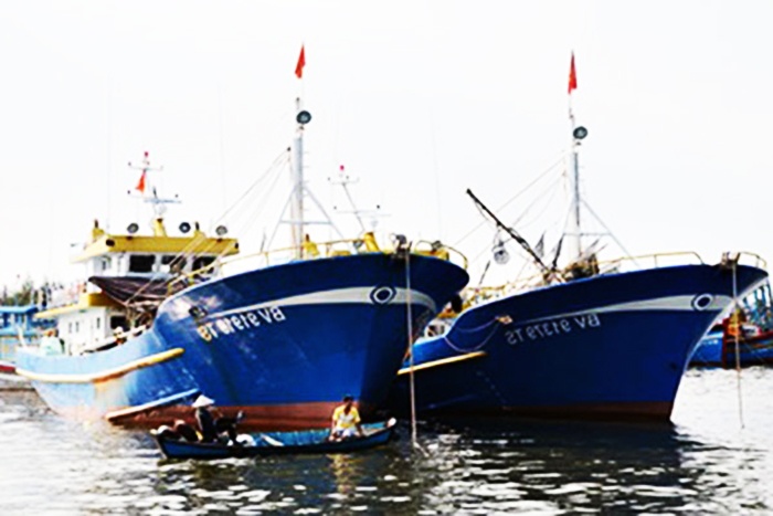 Đến năm 2050, Việt Nam trở thành quốc gia có nghề cá phát triển bền vững, hiện đại - Ảnh 3.