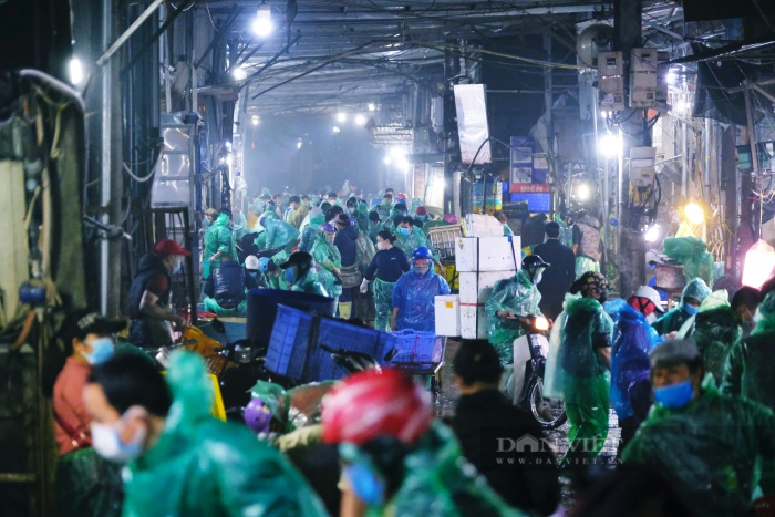 Chợ cá lớn nhất Hà Nội nhộn nhịp trước ngày ông Công ông Táo, khách vắng hơn mọi năm nhưng được giá - Ảnh 1.