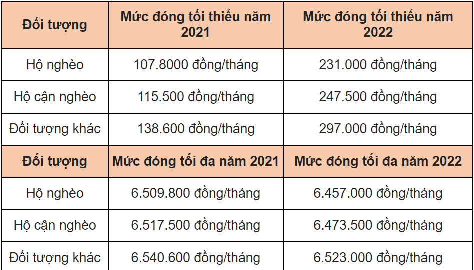 Mức đóng BHXH tự nguyện năm 2022 là bao nhiêu? - Ảnh 3.