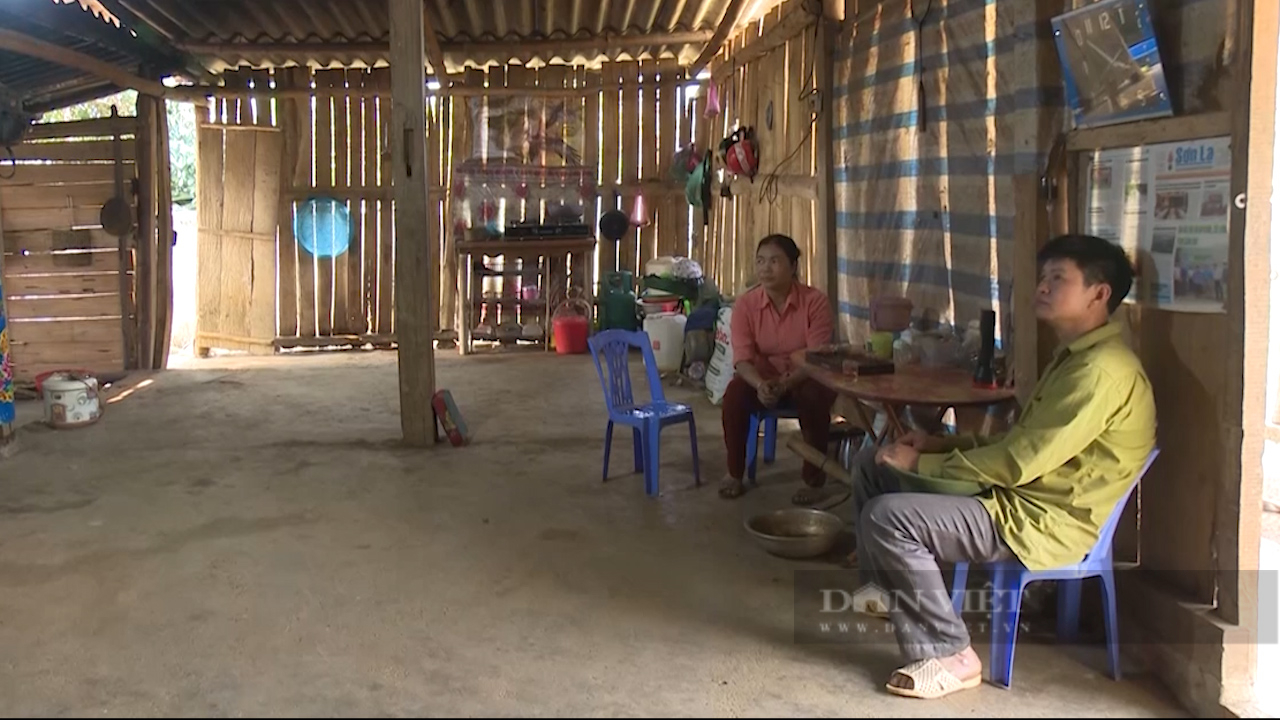 Nhiều hộ dân ở vùng cao Sơn La tự nguyện ra khỏi hộ nghèo - Ảnh 2.