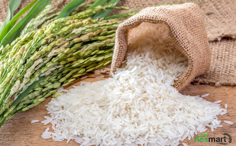 Năm 2022, gạo Việt có cơ hội lớn chưa từng có ở thị trường mà cả thế giới thèm khát này - Ảnh 2.