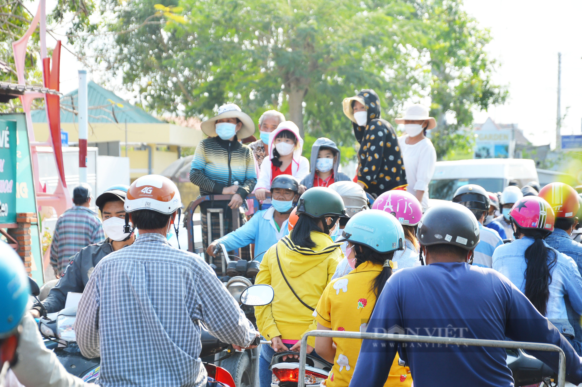 Làng hoa lớn nhất miền Tây thu hút hàng ngàn du khách tham quan - Ảnh 2.